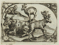 TvB G 4425
          <br/>
          Twaalf afbeeldingen met dieren
          <br/>
          <em>Staker, Heinrich (??)</em>